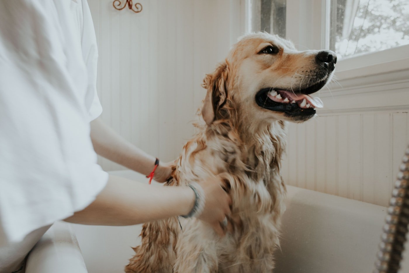 Pet parent outdoors